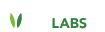 Partner 5